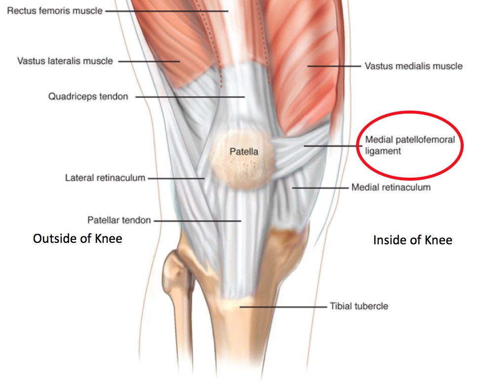 what is a patella